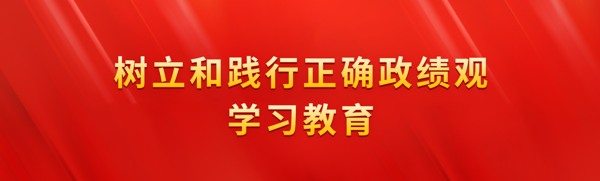 树立和践行正确政绩观学习教育