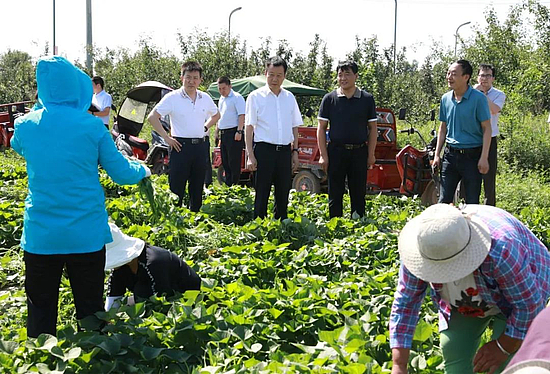 微信图片_20200701165142.jpg 微信图片_20200701165142.jpg