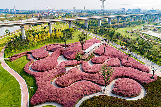 微信图片_20200107092439.jpg