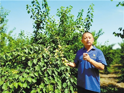 res03_attpic_brief.jpg res03_attpic_brief.jpg