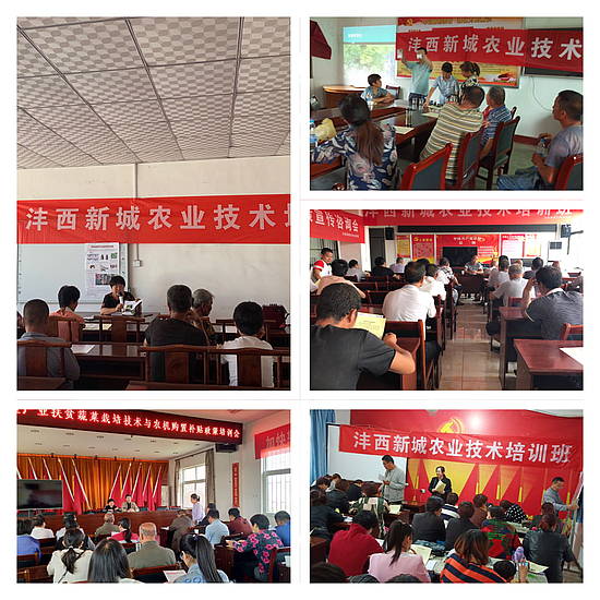 微信图片_20190826161656.jpg