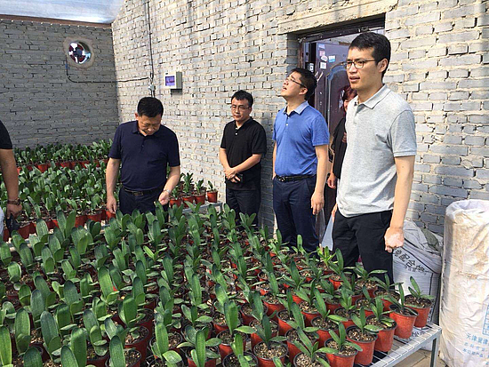 微信图片_20190711111320.jpg
