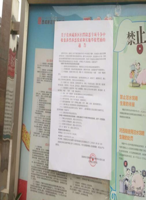 图片11.jpg