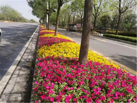 微信图片_20190529170913.jpg 微信图片_20190529170913.jpg