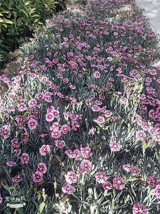 微信图片_20190529171718.jpg 微信图片_20190529171718.jpg