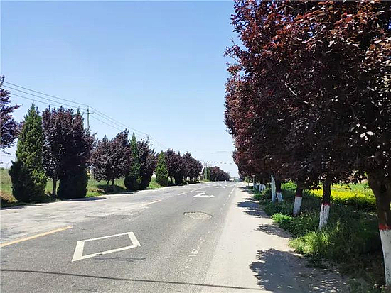 微信图片_20190529171213.jpg 微信图片_20190529171213.jpg