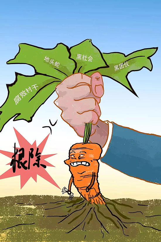 微信图片_20181106115033.jpg
