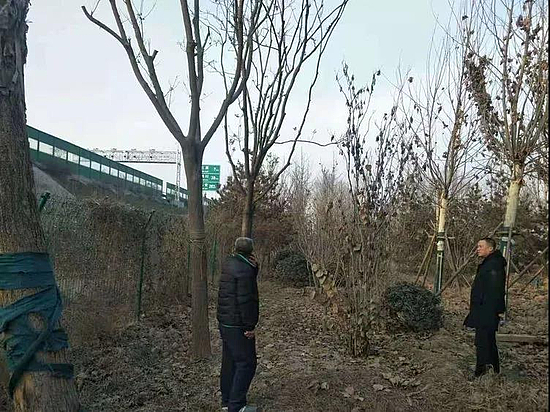 微信图片_20201231161436.jpg 微信图片_20201231161436.jpg