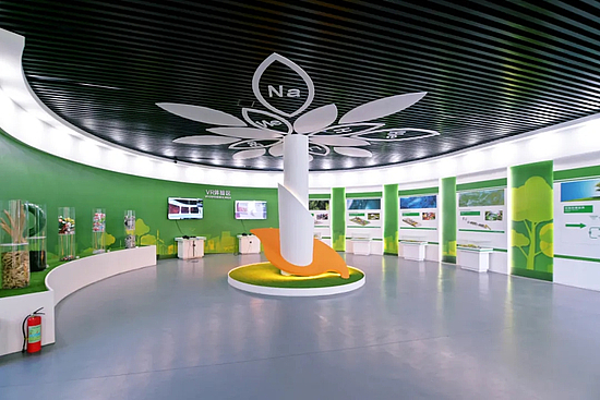 20201225_094645_049.jpg 20201225_094645_049.jpg