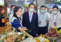 第二十九届中国杨凌农业高新科技成果博览会盛大开幕