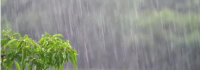 西安市气象台发布雷雨大风黄色预警