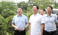 杨仁华调研生态环境保护工作
