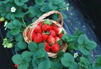 西咸新区冬日轻游指南来了