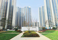 西咸新区两个安置房项目迎新进展 配套道路完成关键施工