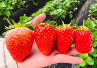 新晋打卡地！为你的假期加点“甜”