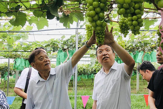 微信图片_20190805113623.jpg 微信图片_20190805113623.jpg