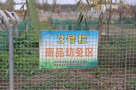 微信图片_20191210094021.jpg