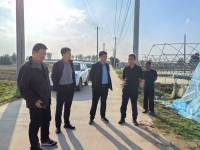 大王街道：秋播正当时 田野绘新绿