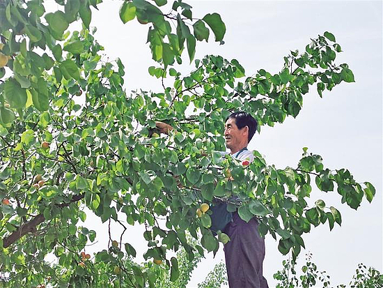 微信图片_20200525095558.jpg 微信图片_20200525095558.jpg