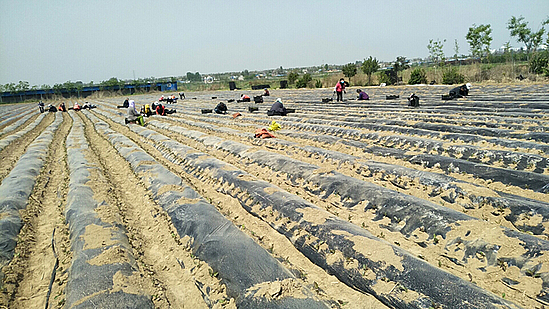 微信图片_20200518142551.jpg 微信图片_20200518142551.jpg