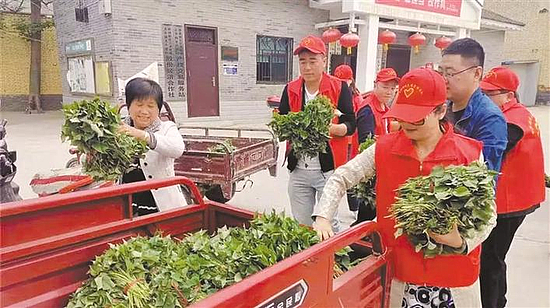 270945553ja6.jpg 270945553ja6.jpg