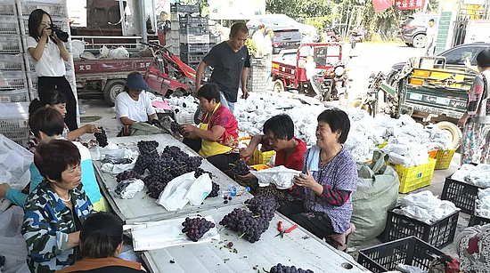 微信图片_20190826165054.jpg 微信图片_20190826165054.jpg