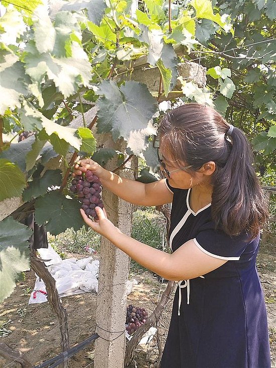 056b808f25e24e12249af10fbdcfc1af.jpeg 056b808f25e24e12249af10fbdcfc1af.jpeg