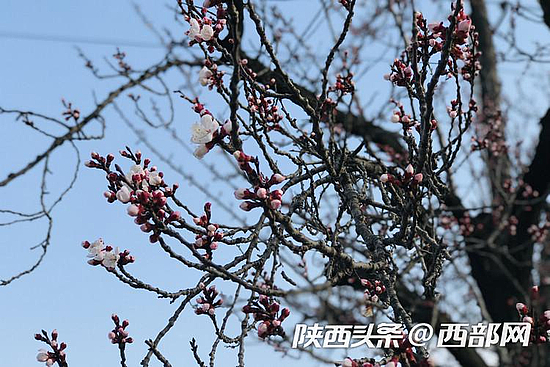 c584f755d540ae73220376e573f4c7d5.jpeg c584f755d540ae73220376e573f4c7d5.jpeg