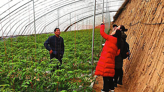 015838d2bfbe4ee326cc9758de977271_img_666_1234_312_170.jpg 015838d2bfbe4ee326cc9758de977271_img_666_1234_312_170.jpg