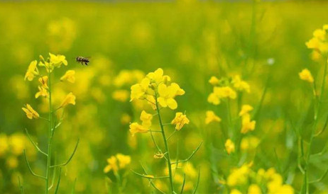 b6952286863c27b156663f59d5504c1b.png b6952286863c27b156663f59d5504c1b.png