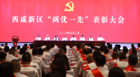 西咸新区召开“两优一先”表彰大会