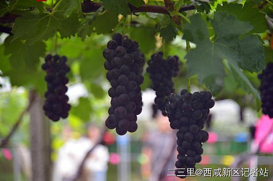 微信图片_20190807104015.jpg 微信图片_20190807104015.jpg