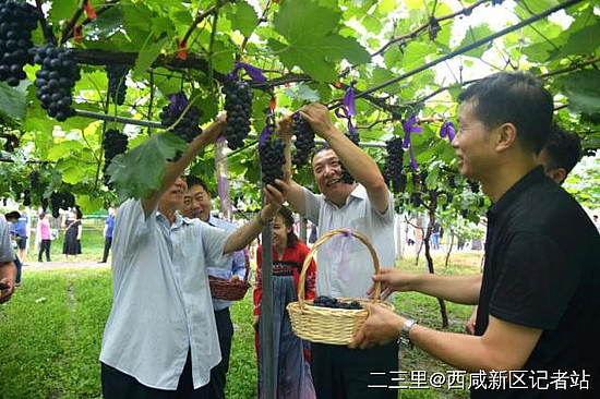 微信图片_20190807104053.jpg 微信图片_20190807104053.jpg