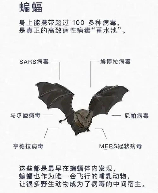 微信图片_20200228152535.jpg 微信图片_20200228152535.jpg