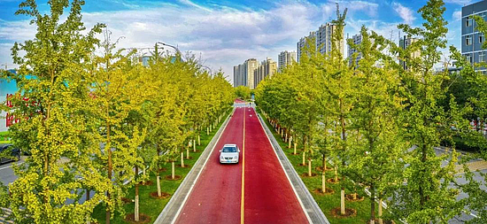 微信图片_20191113190126.jpg 微信图片_20191113190126.jpg