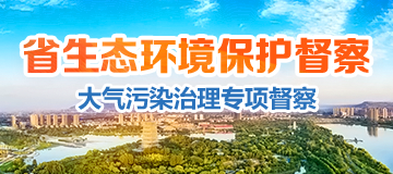 省生态环保督察（大气污染治理专项督察）