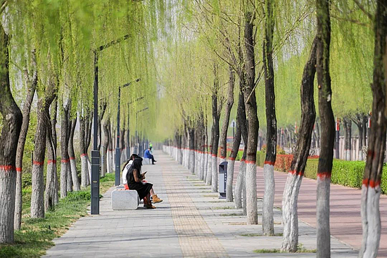 微信图片_20190415100456.jpg