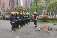 西咸新区消防救援支队沣西新城协调工作组开展体技能训练