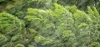 最新天气预报，短时强降水要来了