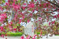 西咸新区泾河新城这条一站式游玩路线请收好