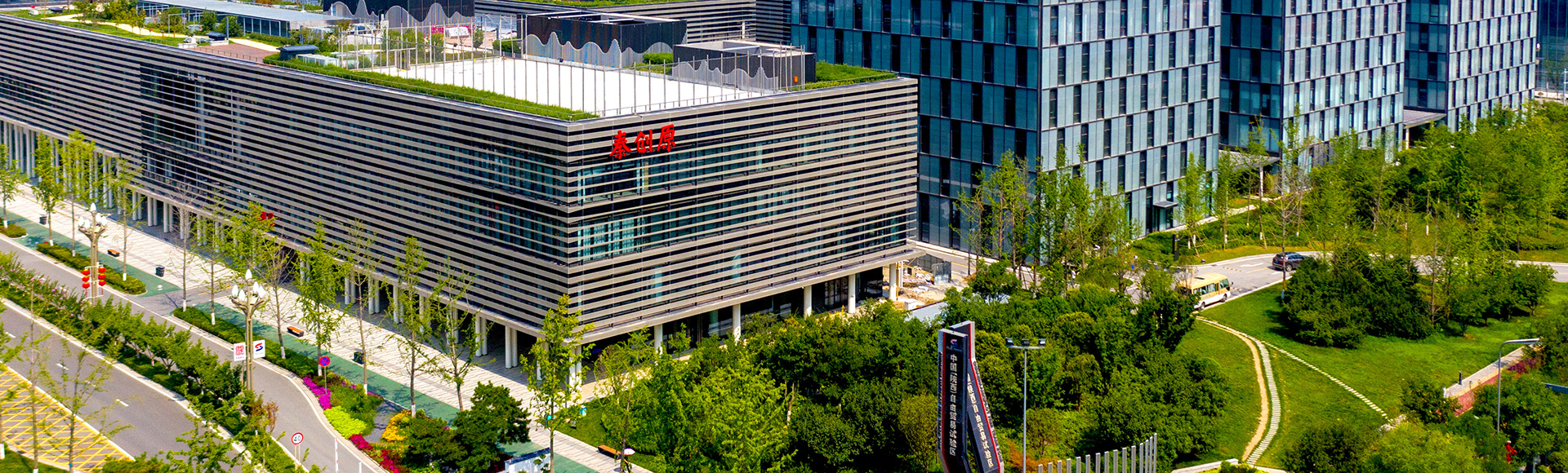 秦原创头部大图