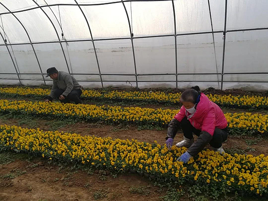 微信图片_20190108093409.jpg