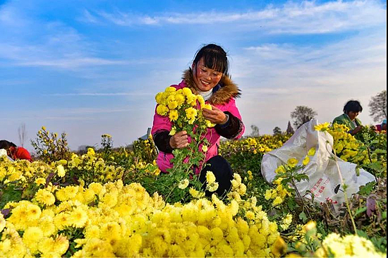 微信图片_20200103164435.jpg 微信图片_20200103164435.jpg