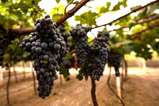 1566958495970406.jpg 1566958495970406.jpg