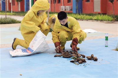 fd278fe6-9e28-4a1f-b586-fbd172943c52.jpg fd278fe6-9e28-4a1f-b586-fbd172943c52.jpg