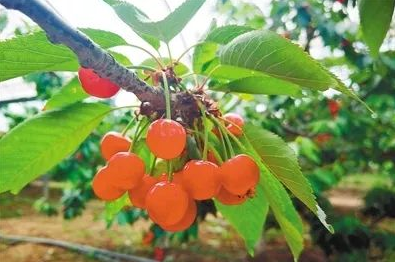 1559115633155276.png 1559115633155276.png