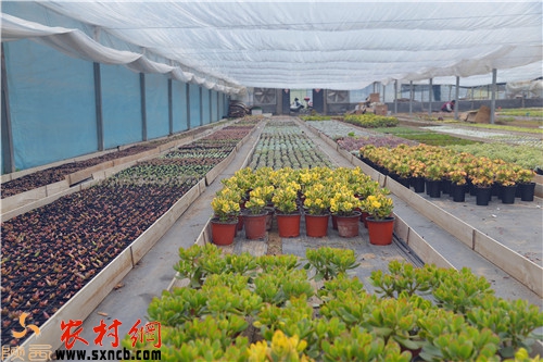 20190529111650300.jpg 20190529111650300.jpg