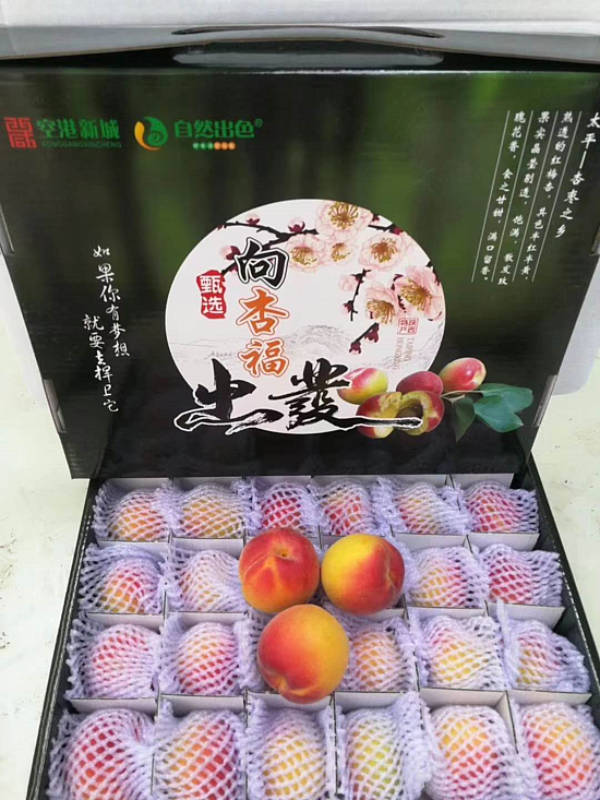 微信图片_20200615094924.png