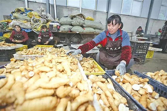 微信图片_20200119104828.jpg