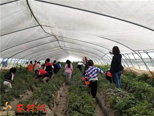 微信图片_20191225154818.jpg
